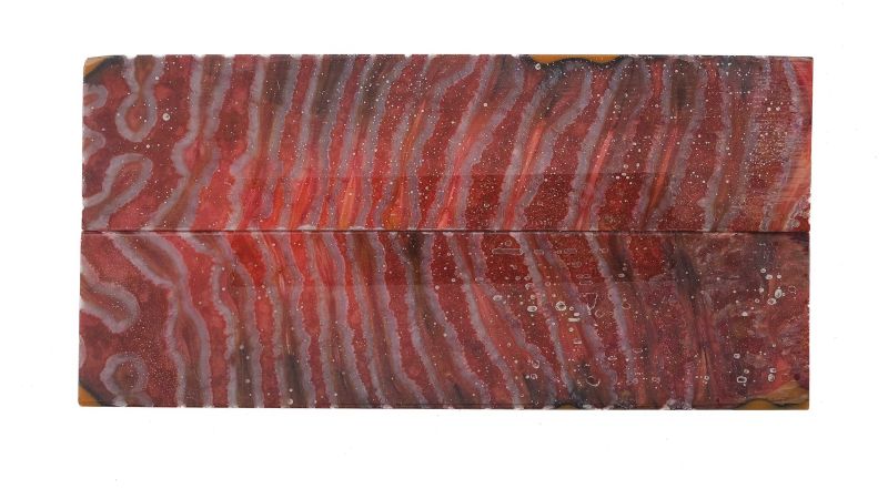 Manche de molaire de mammouth stabilisée ROUGE